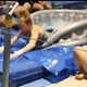 Image for article titled Pitt Gymnasts Belly Flop Into Ice Water As A Training Exercise
